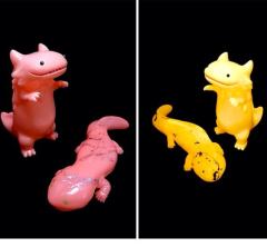 T9G × shoko nakazawa 粉色娃娃鱼-资料图