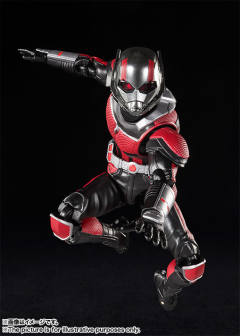 SHF 蚁人-资料图