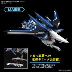 HGCE STTS-909 飞升自由高达-资料图