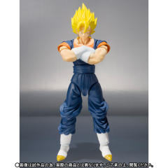 SHF 贝吉特-资料图