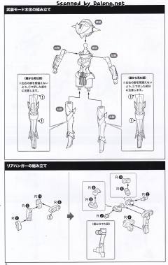 弹丸骑士 处刑者 新娘-资料图