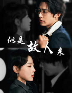 似是故人来