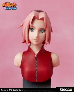 Bust 春野樱 -资料图