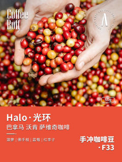 光环Halo竞赛级定制