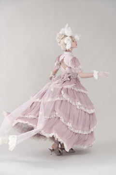 寻找蝴蝶-资料图