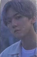 bolo1贴纸卡ver.C