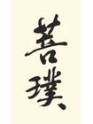 菩璞