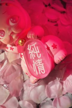 招纯情樱花猫-资料图