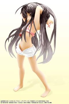 夏娜 Black Hair Clear ver.-资料图