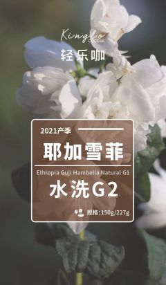 埃塞俄比亚耶加雪菲G2水洗