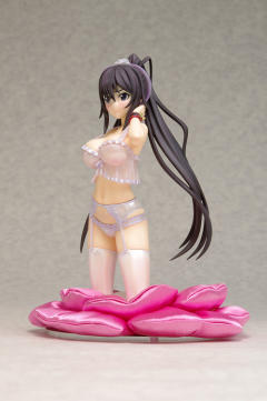 DreamTech LingerieStyle Series 篠之之箒 -资料图