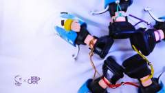 紫莓Purple Blueberry-资料图