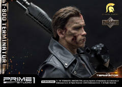 T-800 DX version-资料图