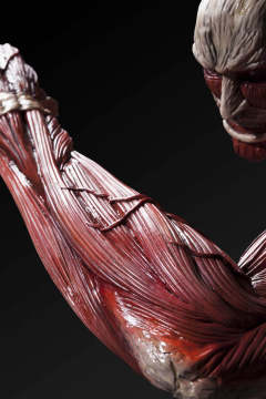 Ultimate Modeling Collection Figure 超大型巨人 -资料图