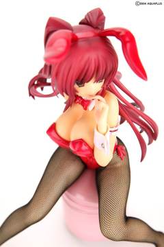 向坂环 Bunny ver.-资料图