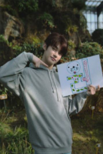 crown ver.E
