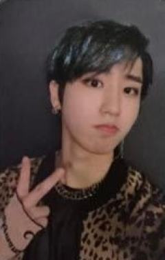 mma ver