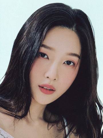 闪卡九2