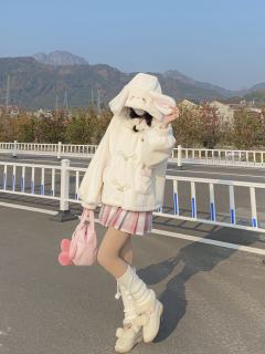 雪茸兔-资料图