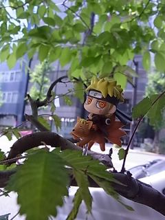 Petit Chara Land 九尾 漩涡鸣人 Sennin Mode-资料图