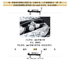 章鱼姬-资料图