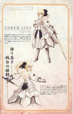 Saber Lily-资料图