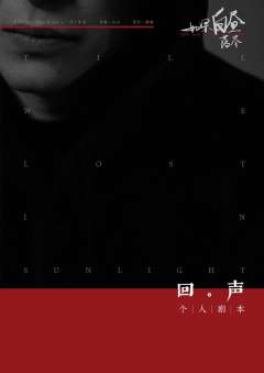 如果白昼落尽-资料图