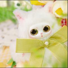 玉镜白酥酥-资料图