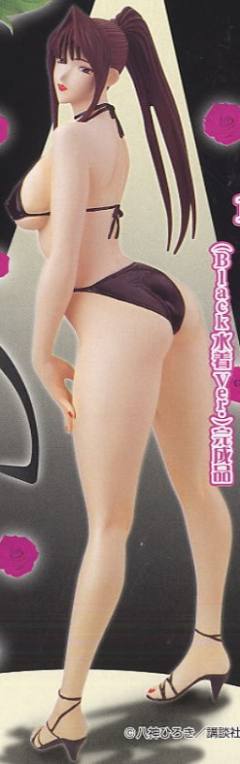 四方堂由姫 Black 泳装 ver.-资料图