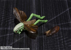 SHF 假面骑士 ZO-资料图