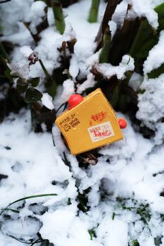 被遗忘的第4天-资料图