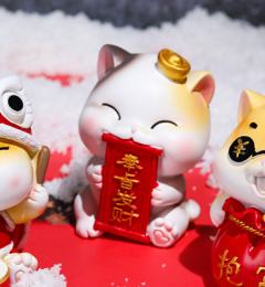 奉旨发财