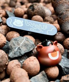 滑板少年-资料图