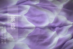 中唐复原衫裙-资料图