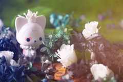 白爵狸-资料图