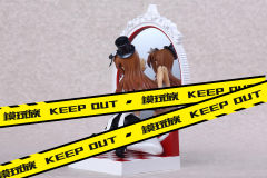 Fairy Tale Figure 爱丽丝 Black Dress ver.-资料图
