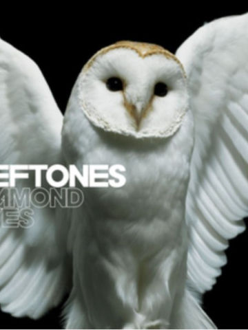 Diamond Eyes