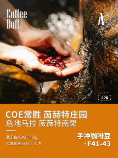 危地马拉COE常胜手冲咖啡豆