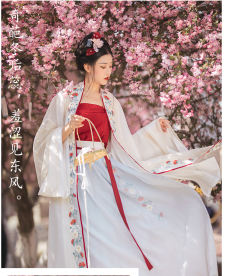 白山茶/红山茶-资料图