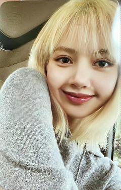 专卡灰版莎 verA.