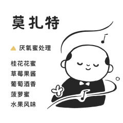 音乐家系列莫扎特