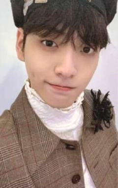 UMS ver
