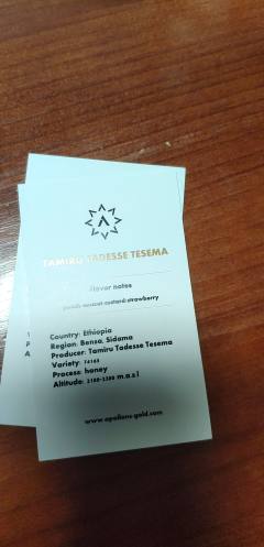 tamiru tadesse tesema