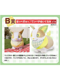 B赏：来电汪毛绒