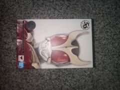 SHF 真骨雕 假面骑士空我 MightyForm 50th Anniversary Ver.-资料图
