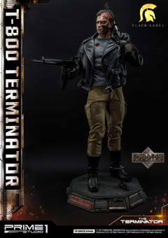 T-800 DX version-资料图