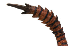Capcom Figure Builder Standard Model Monster Hunter Vol.7 轰龙 Dragon Virus ver.-资料图