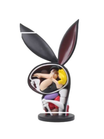 Playboy Anatomy 解剖花花公子