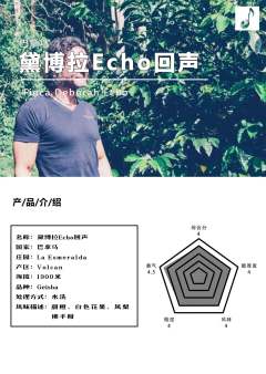 巴拿马黛博拉Echo回声