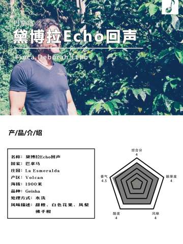 巴拿马黛博拉Echo回声